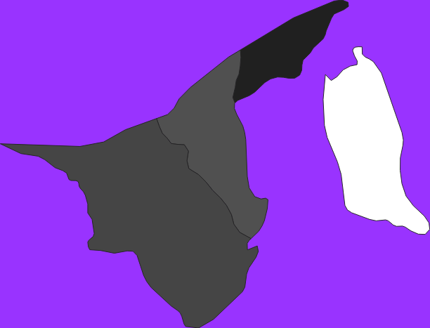 Brunei elevation map